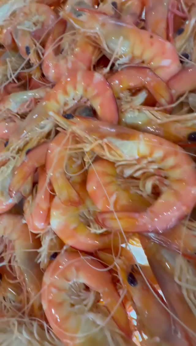 Prawns close-up
